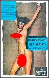 English novelette cover